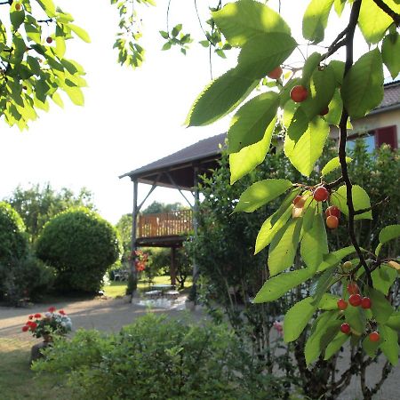 Les Jardins De Lily Hotel Saint-Leonard-de-Noblat Exterior photo