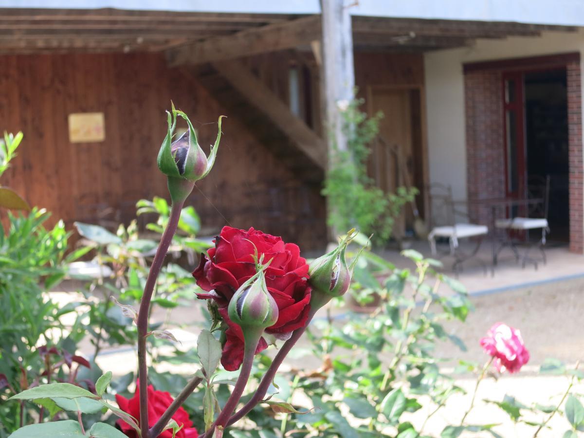 Les Jardins De Lily Hotel Saint-Leonard-de-Noblat Exterior photo